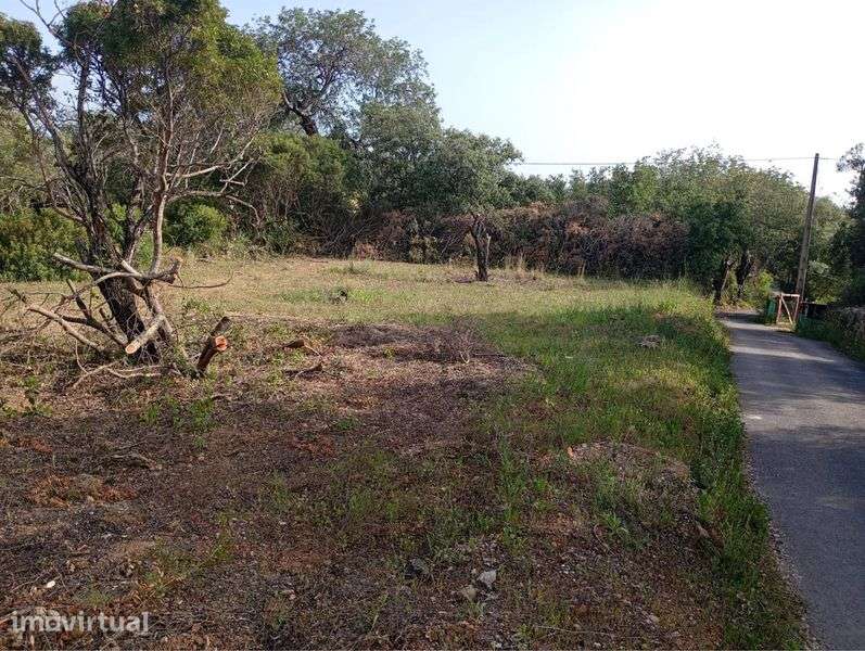Vendo terreno em Loulé - Grande imagem: 5/5