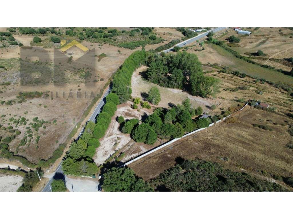 Quinta com 15.500m2 para venda próxima à vila de Alcains! - Grande imagem: 2/28