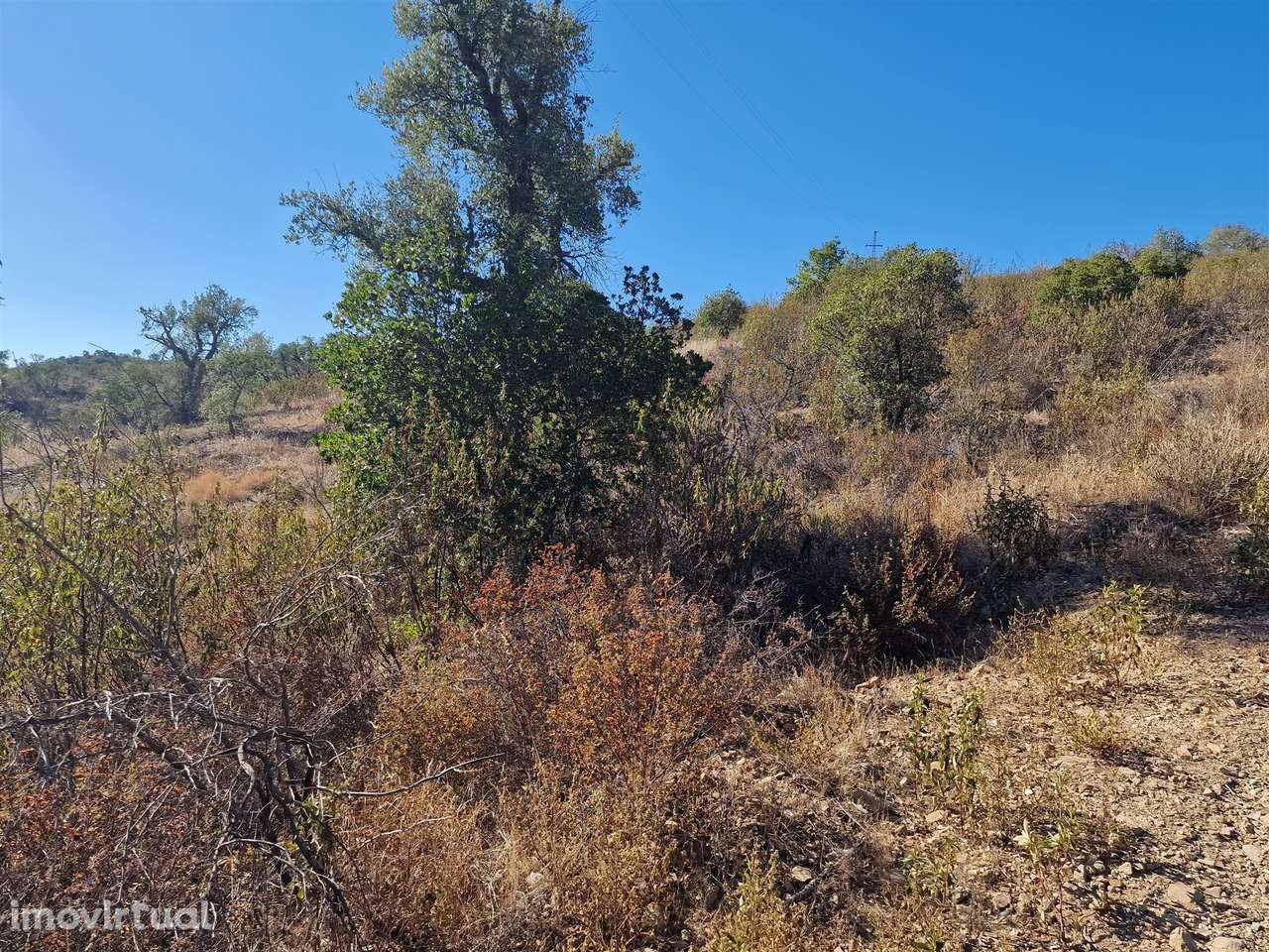 Terreno Rústico  Venda em São Barnabé,Almodôvar - Grande imagem: 3/9
