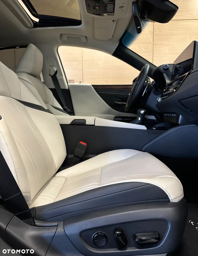 Lexus ES 300h Omotenashi - 10