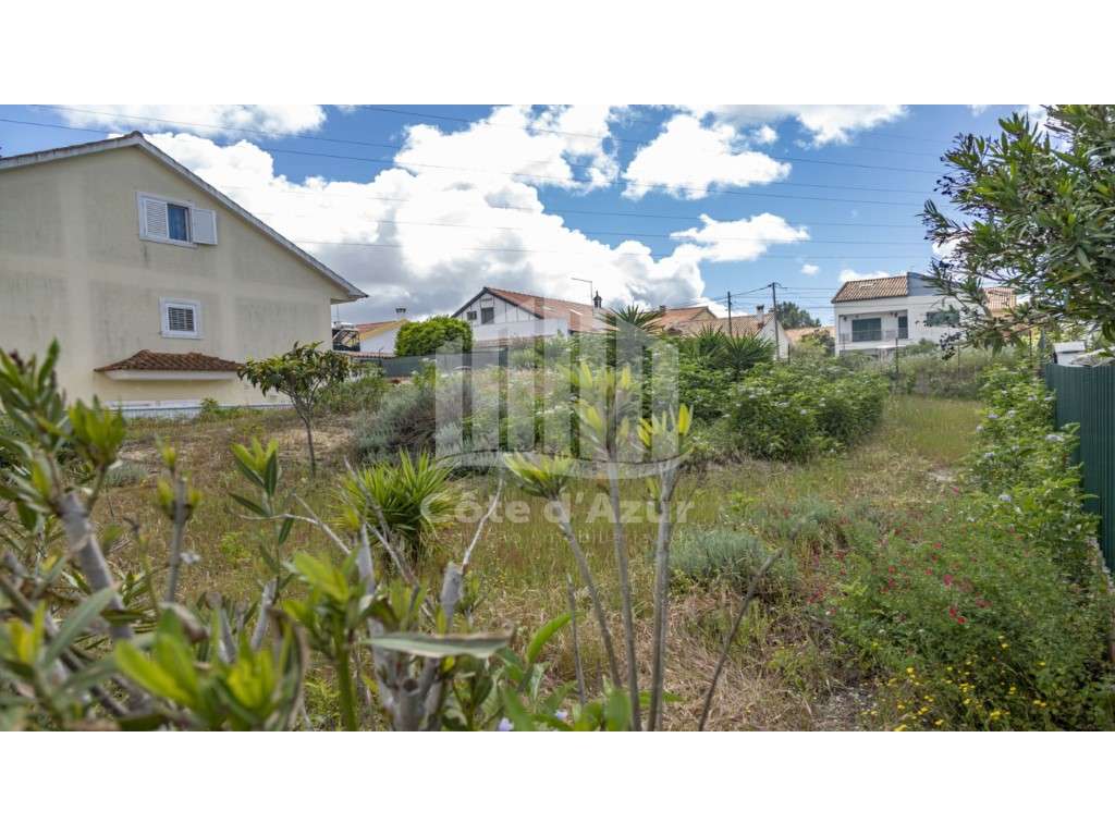 TERRENO QUINTA CONDE - Grande imagem: 2/15