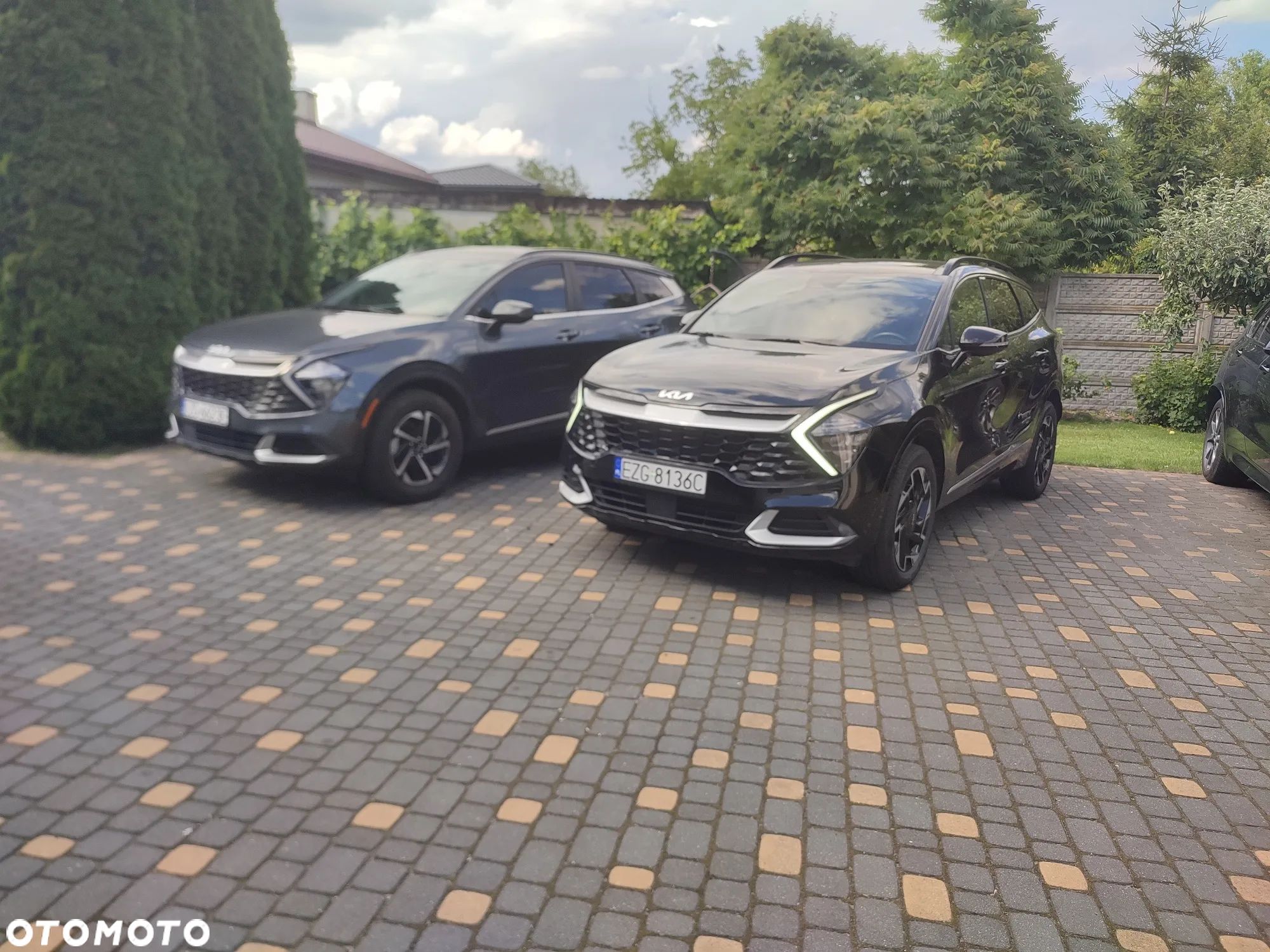Kia Sportage - 1