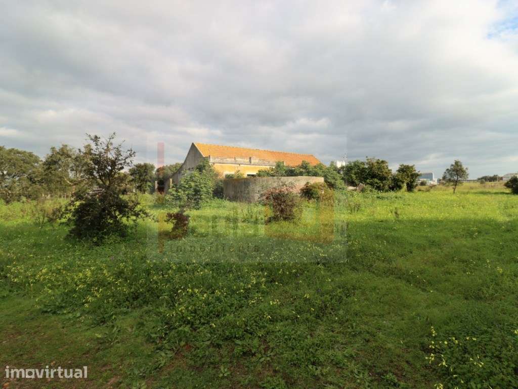 TERRENO COM 5.5HA ALCOCHETE - Grande imagem: 3/13