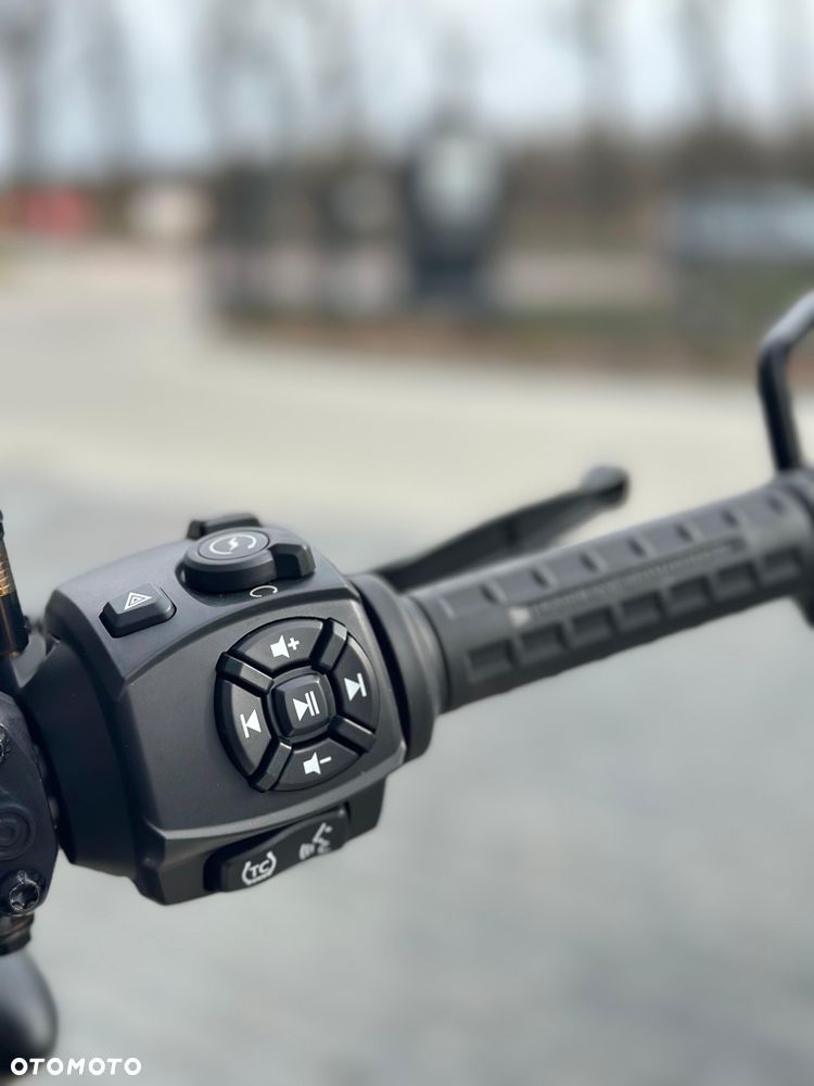 Harley-Davidson Sportster - 9