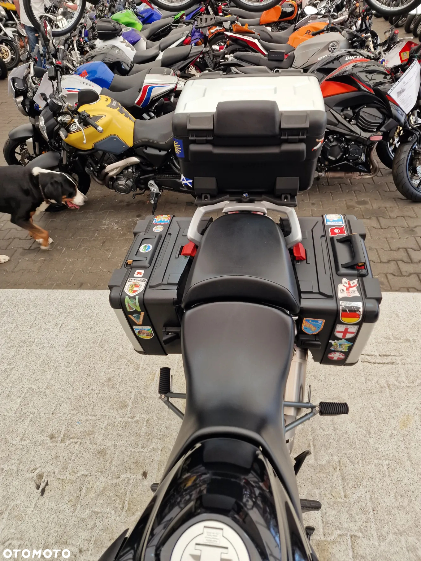 BMW GS - 25