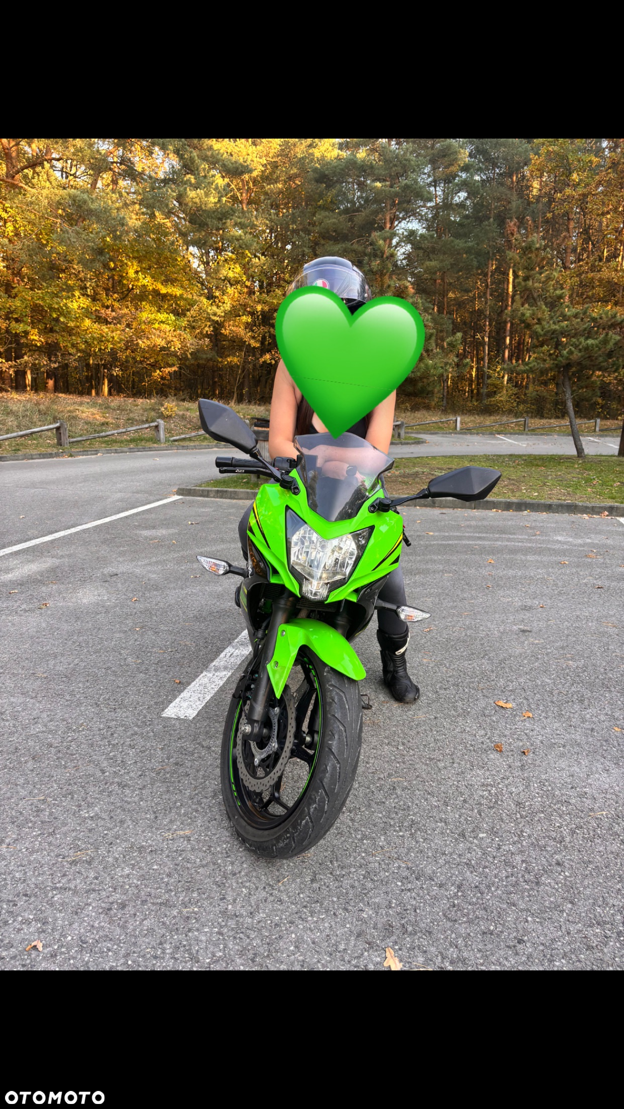 Kawasaki Ninja