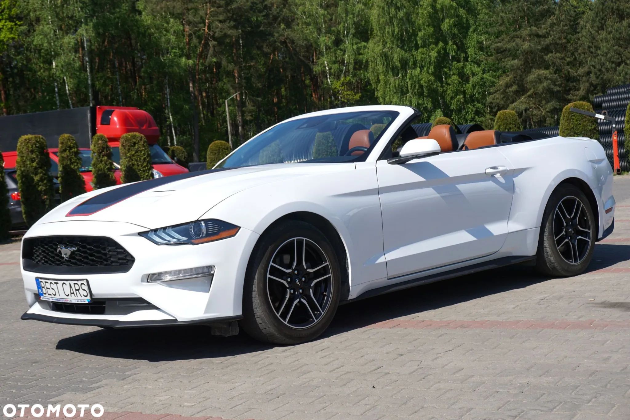 Ford Mustang Cabrio 2.3 Eco Boost - 1