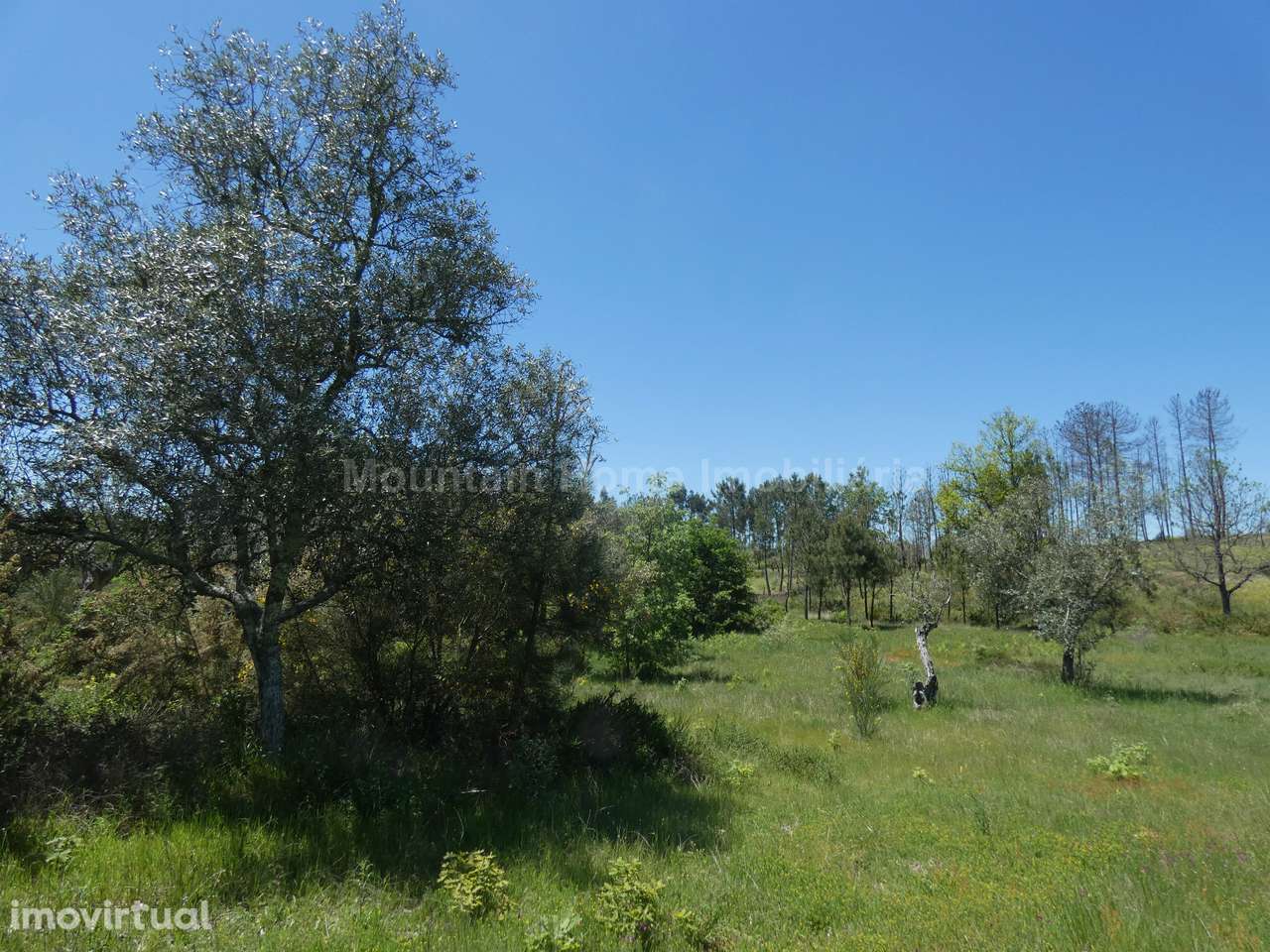 Terreno  Venda em Santiago,Seia - Grande imagem: 2/9