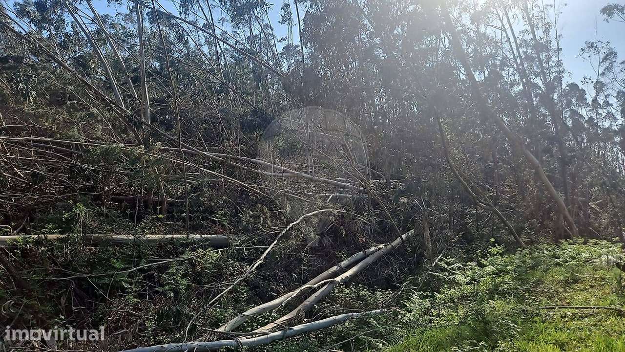 Terreno  para venda - Grande imagem: 2/6