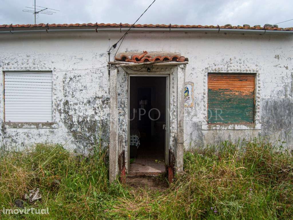 Moradia para recuperar com poço de água e luz | Alqueidão - Grande imagem: 2/16