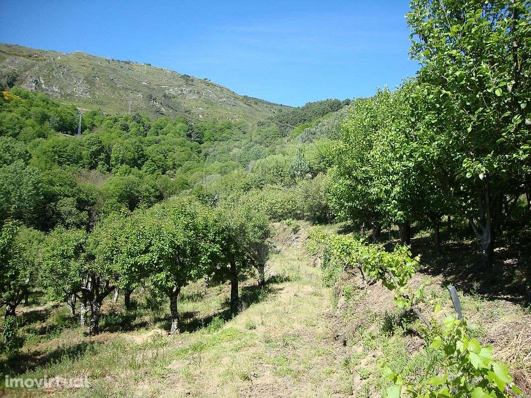 Terreno  para venda - Grande imagem: 5/8