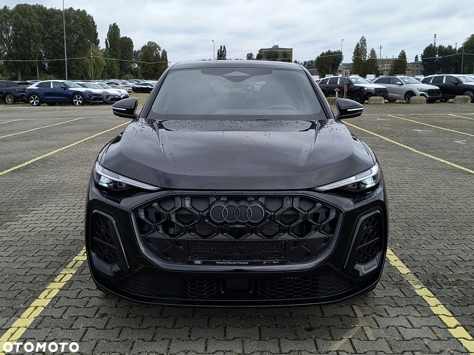 Audi SQ5 - 16