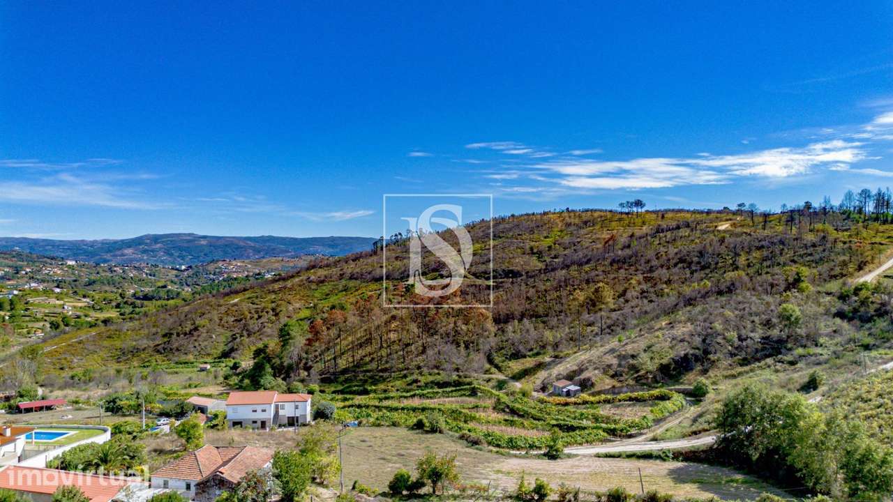 Terreno  Venda em Grilo,Baião - Grande imagem: 5/41