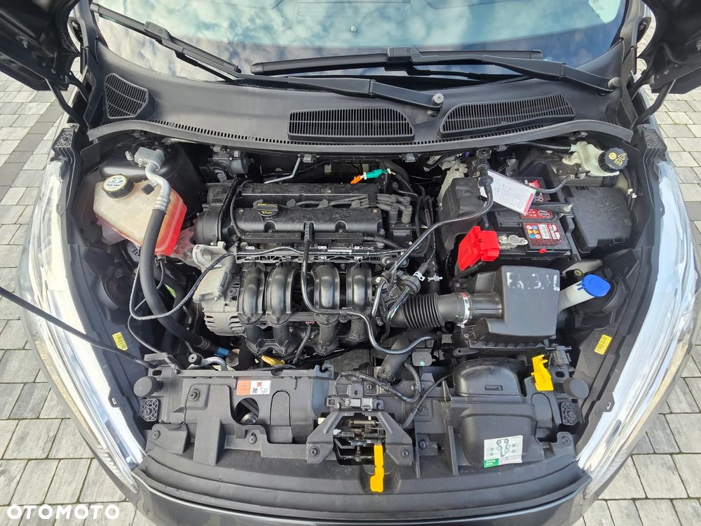 Ford Fiesta 1.25 Ghia - 13