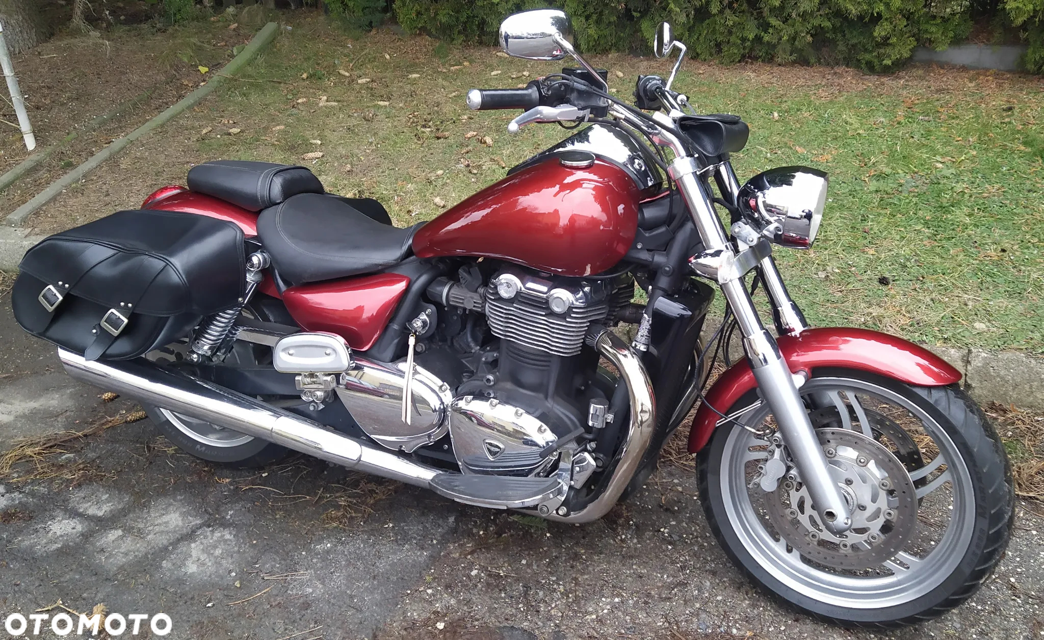 Triumph Thunderbird - 3