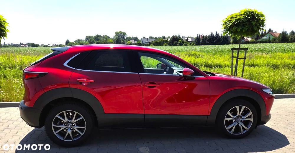 Mazda CX-30 2.0 mHEV Hikari 2WD - 19