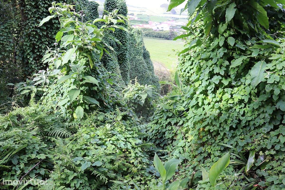 Terreno  para venda - Grande imagem: 3/4