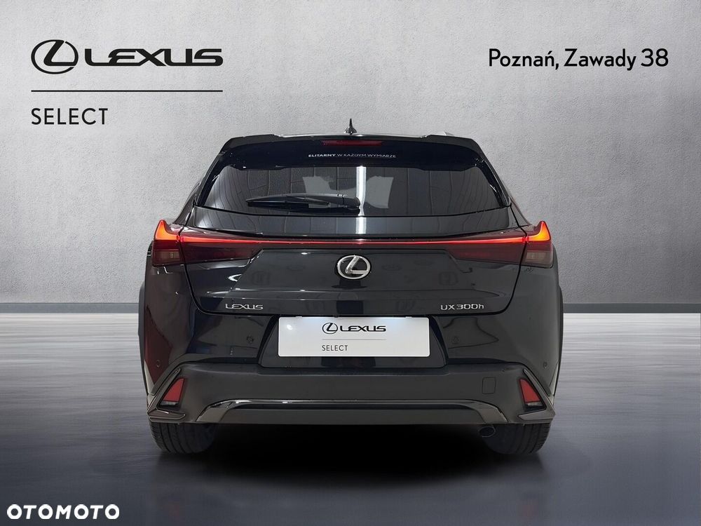 Lexus UX 300h F Sport Design - 8