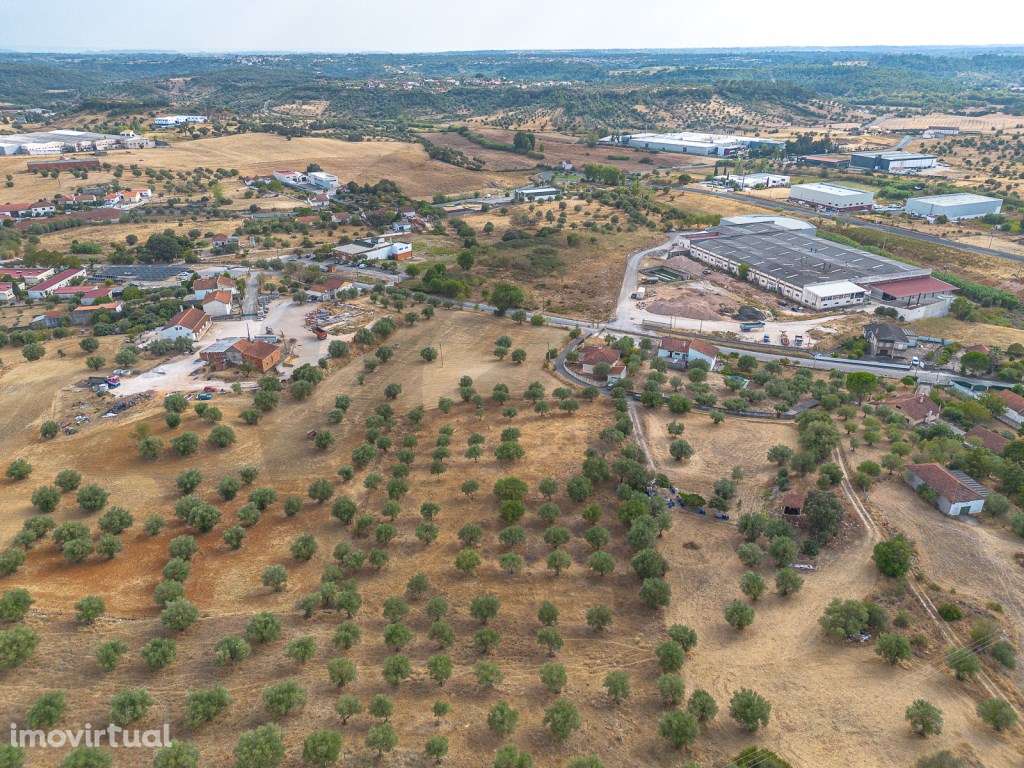 Terreno com potencial construtivo em Alcanena - Grande imagem: 5/9