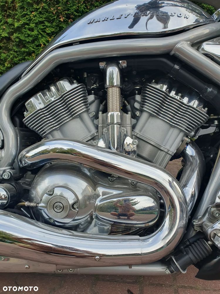 Harley-Davidson V-Rod Street Rod - 16