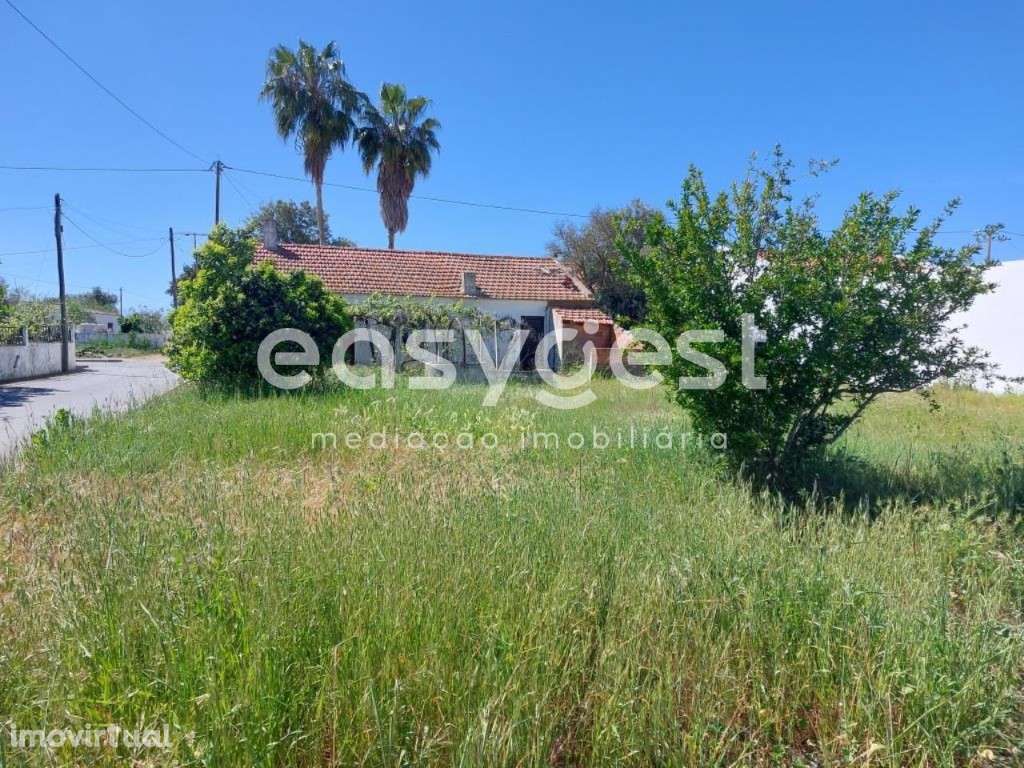 Moradia para recuperar com 2 quartos na aldeia dos Gasparões - Grande imagem: 3/14