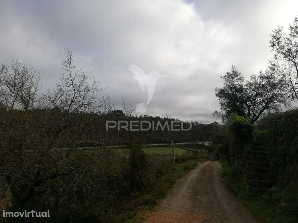 Lote terreno 3 337 m2 construção- Mata- Condeixa-a-Nova - Grande imagem: 4/6