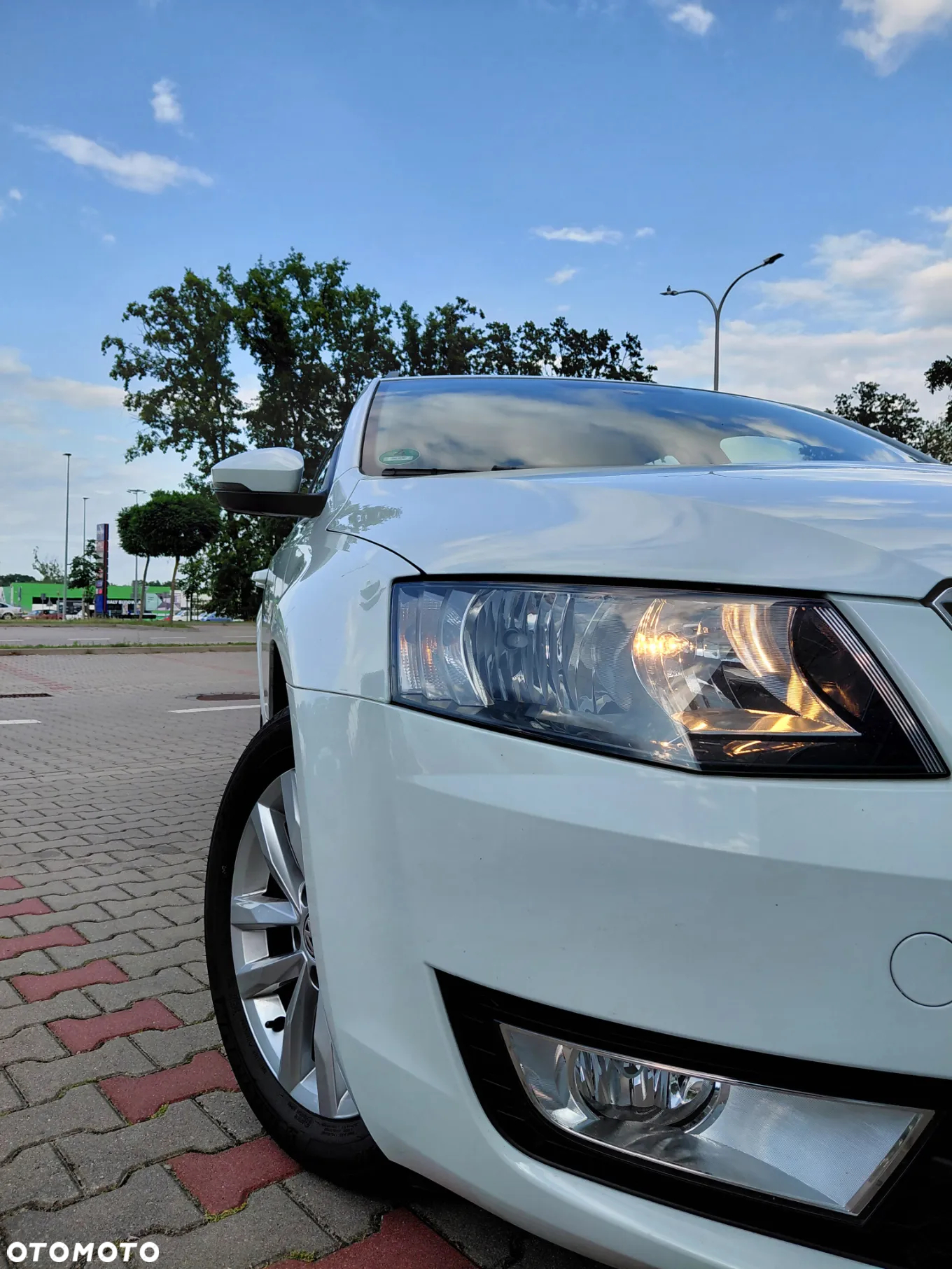 Skoda Octavia 1.6 TDI (Green tec) Active - 14