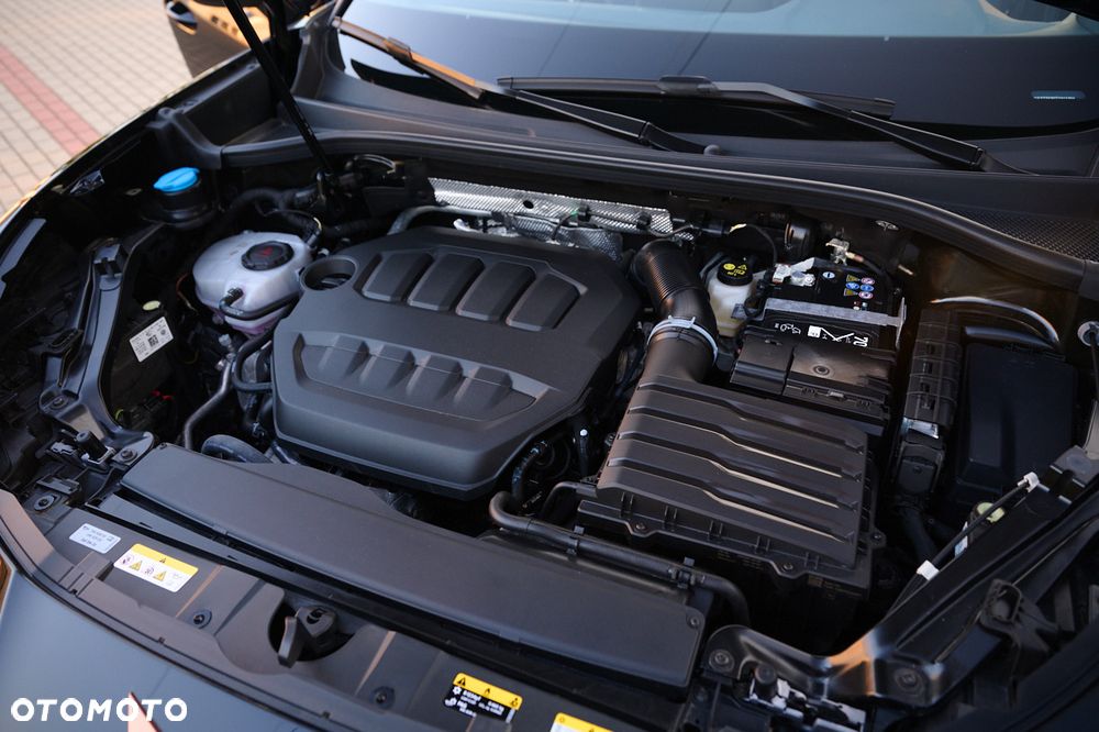 Cupra Terramar 2.0 TSI 4Drive DSG VZ Tribe Edition - 16