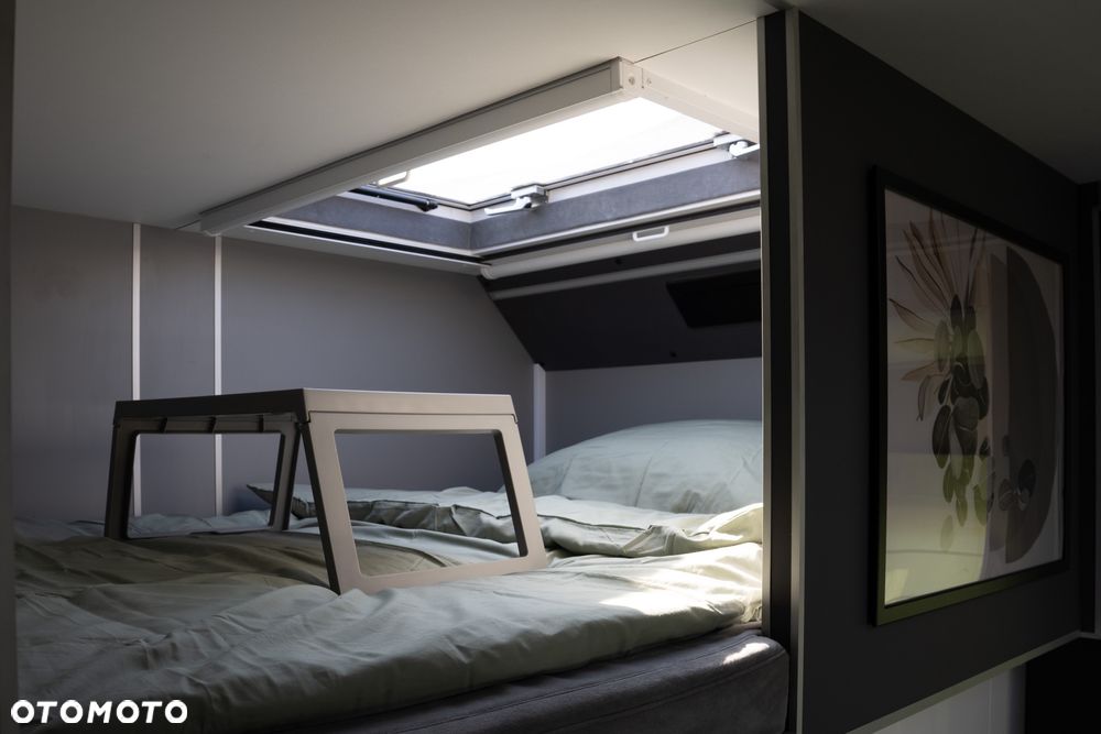 Renault T , Koniowóz 4 konie , zabudowa 2025 - gwarancja - 13