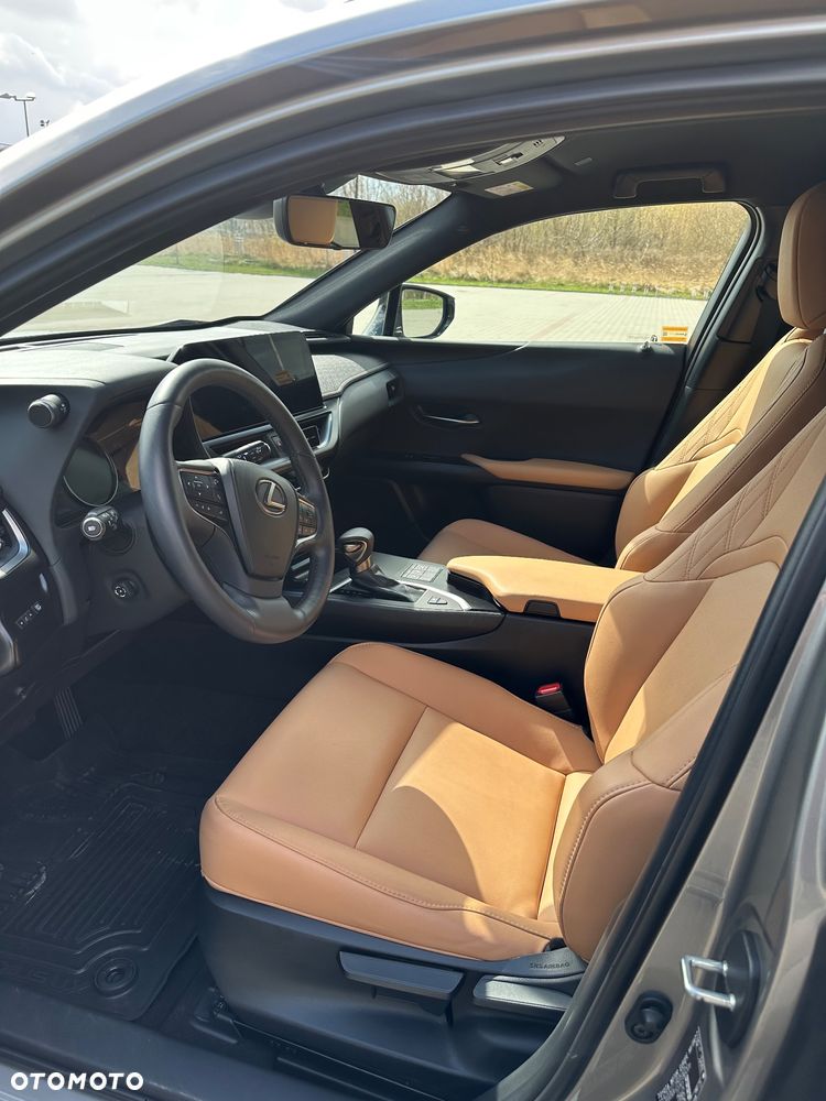Lexus UX - 15