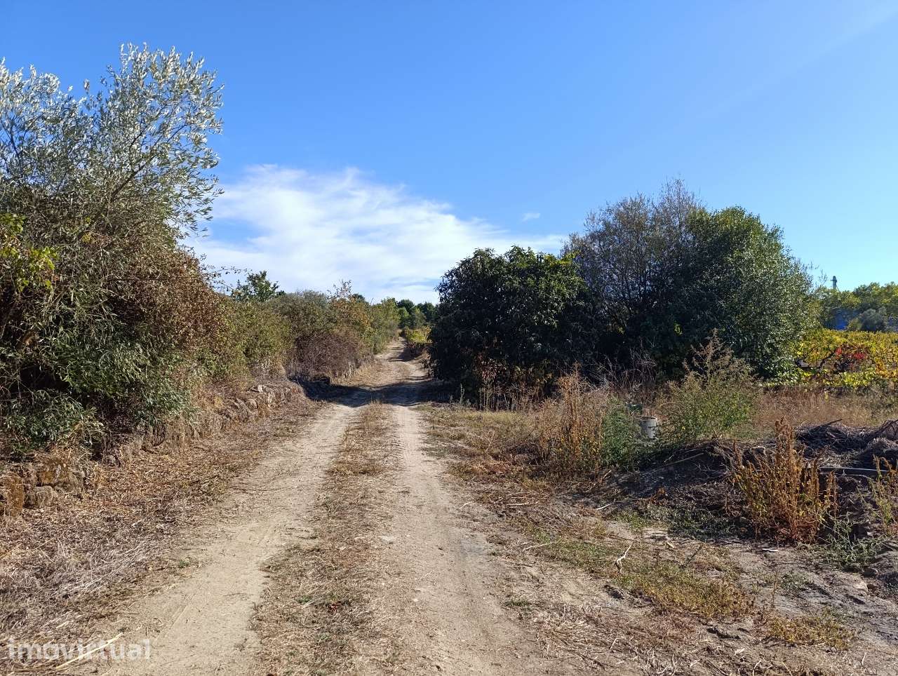 Quinta 4,3 hectares com casa junto a Belmonte, Castelo Branco - Grande imagem: 5/21