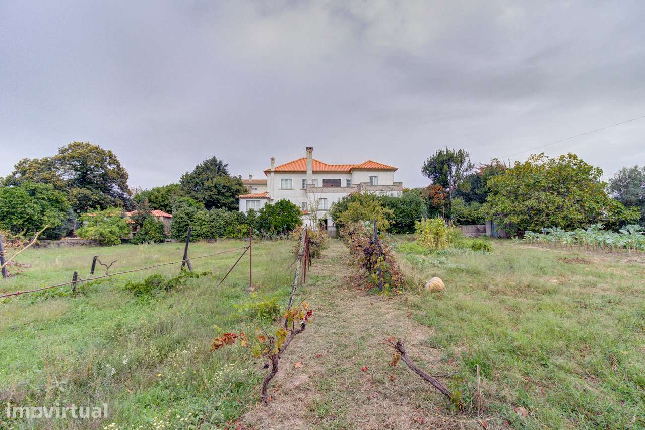Quinta em Vendas de Galizes - Grande imagem: 2/60