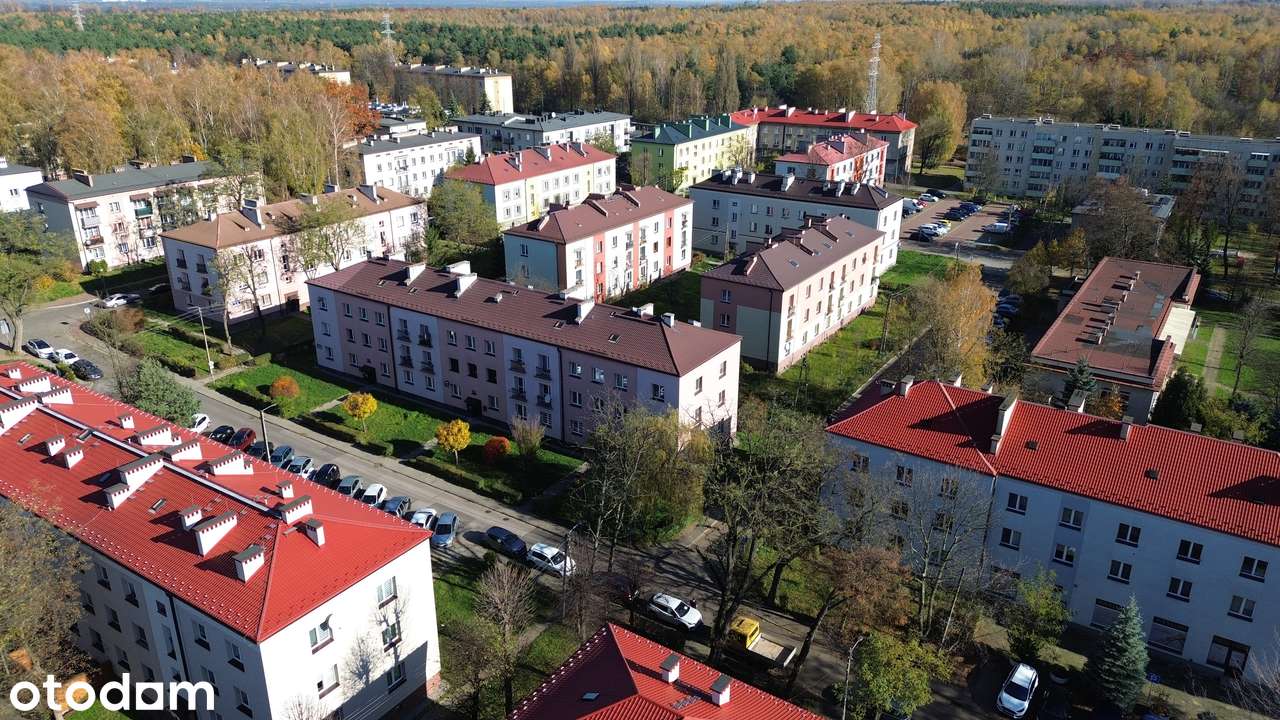 3-pokojowe mieszkanie 68,4 m² | Parter | Bez prowizji