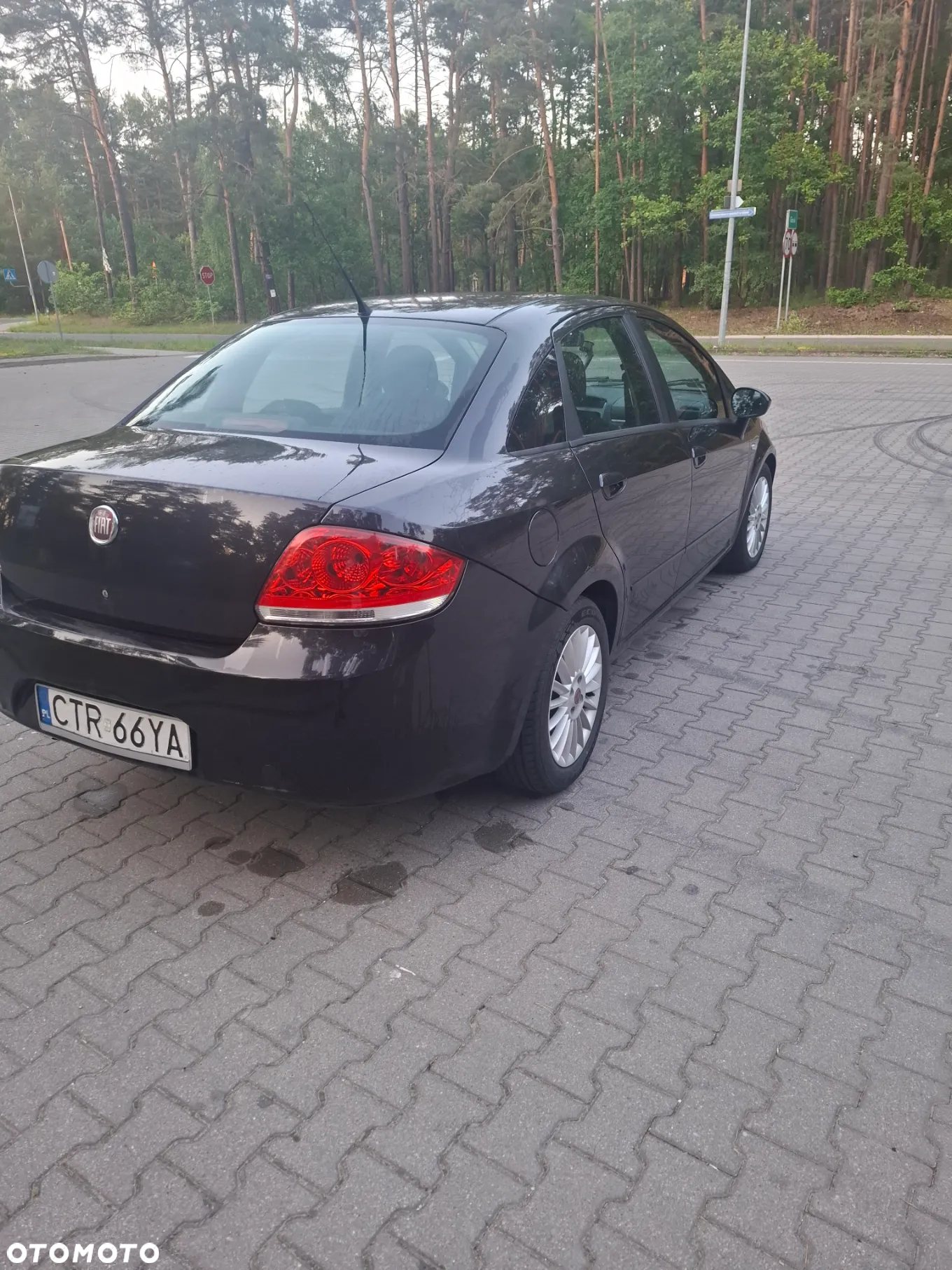 Fiat Linea 1.3 MJ 16V Active - 16