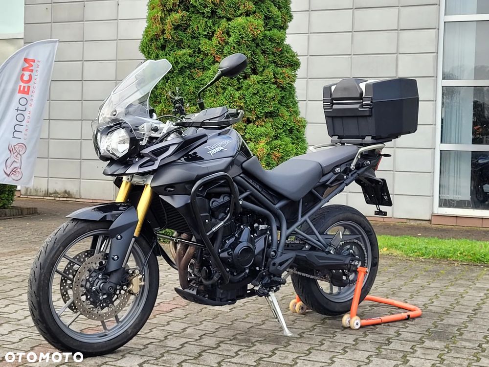Triumph Tiger - 14