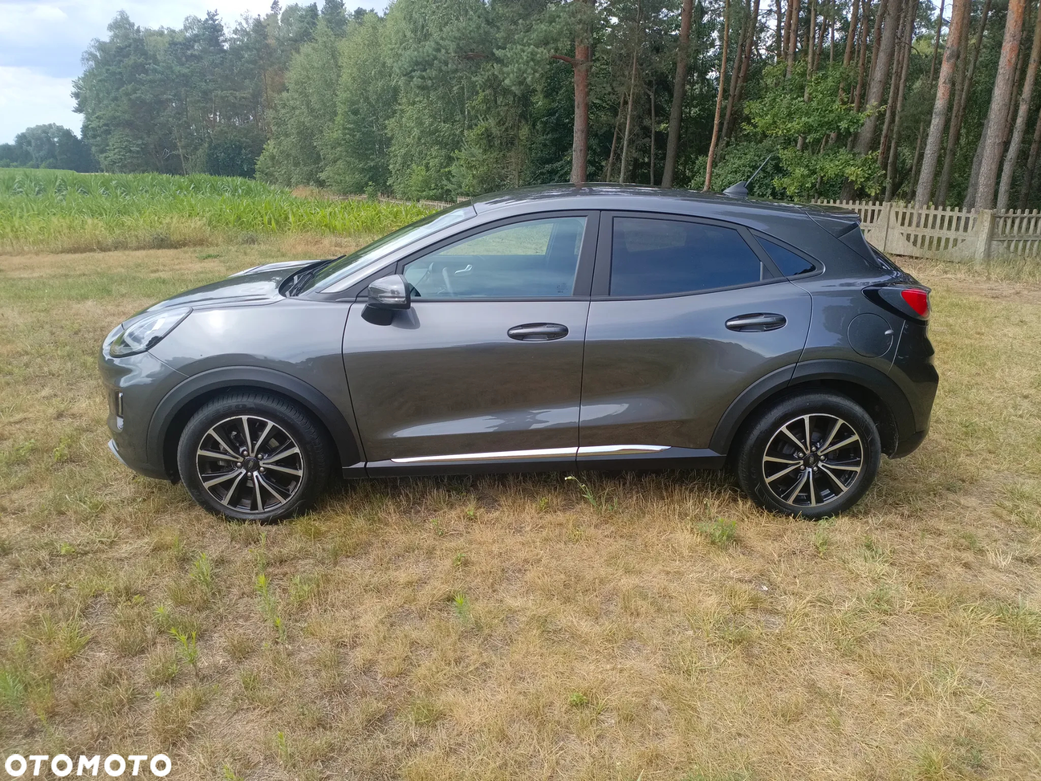Ford Puma 1.0 EcoBoost Hybrid COOL & CONNECT - 6