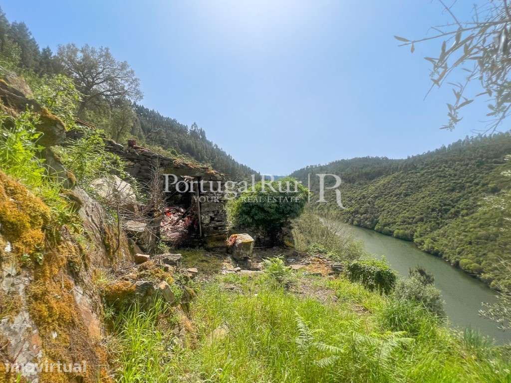 Quinta com 9.500m2 junto ao Rio Zêzere - Grande imagem: 2/30