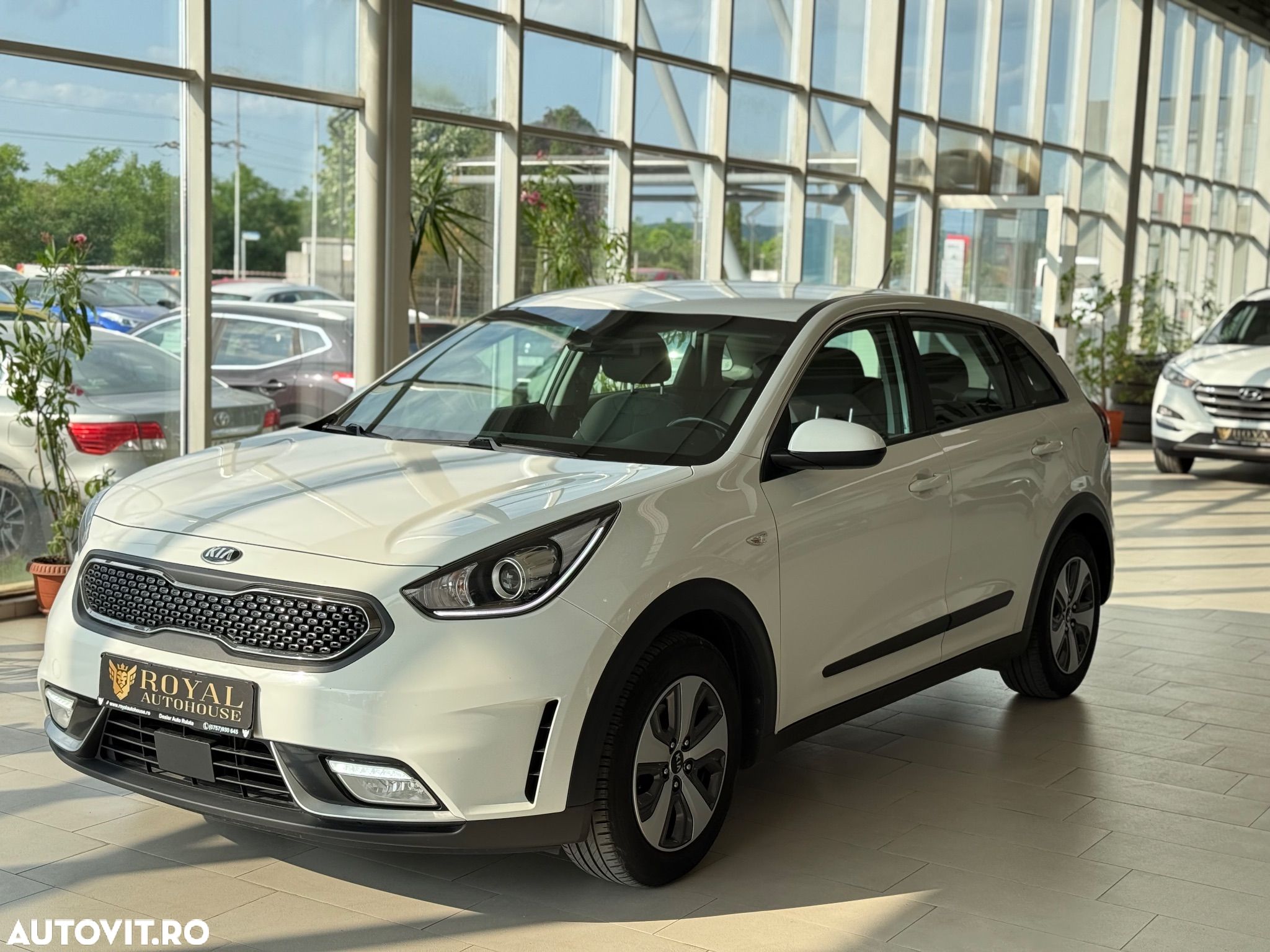 Kia Niro 1.6 GDI HEV 2WD OPF Aut. Spirit - 1