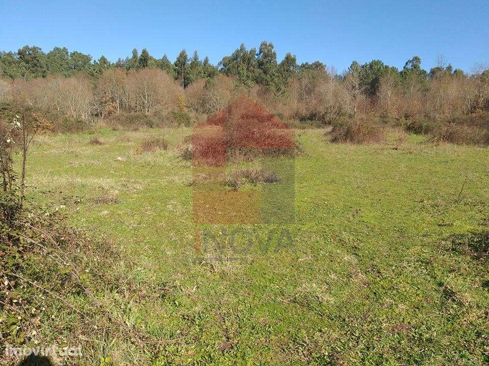 Terreno agrícola, Dossãos - Grande imagem: 3/8