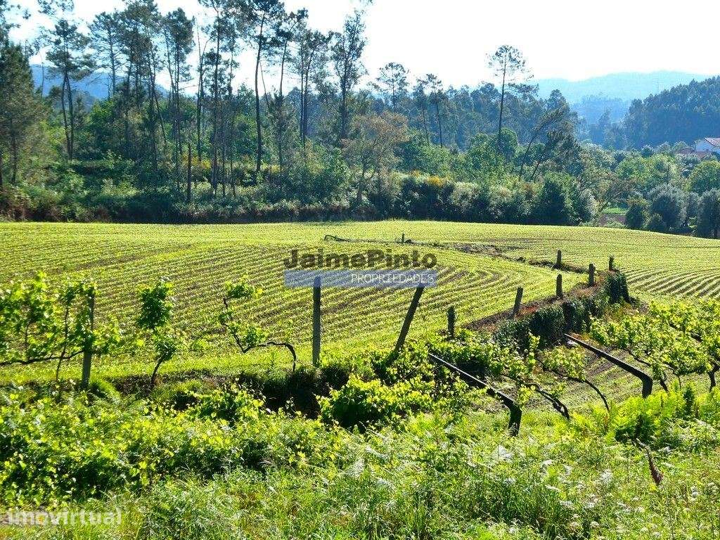 Terreno urbano p/ construção de MORADIA com 260m2. Ponte de Lima, V... - Grande imagem: 2/5