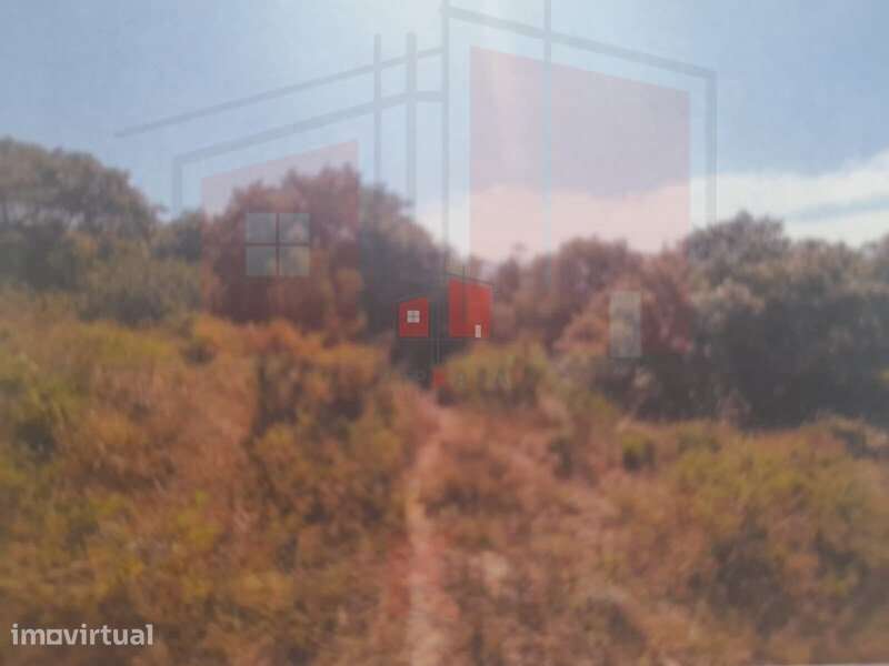 Terreno rustico com 17375 m2 - Grande imagem: 3/8