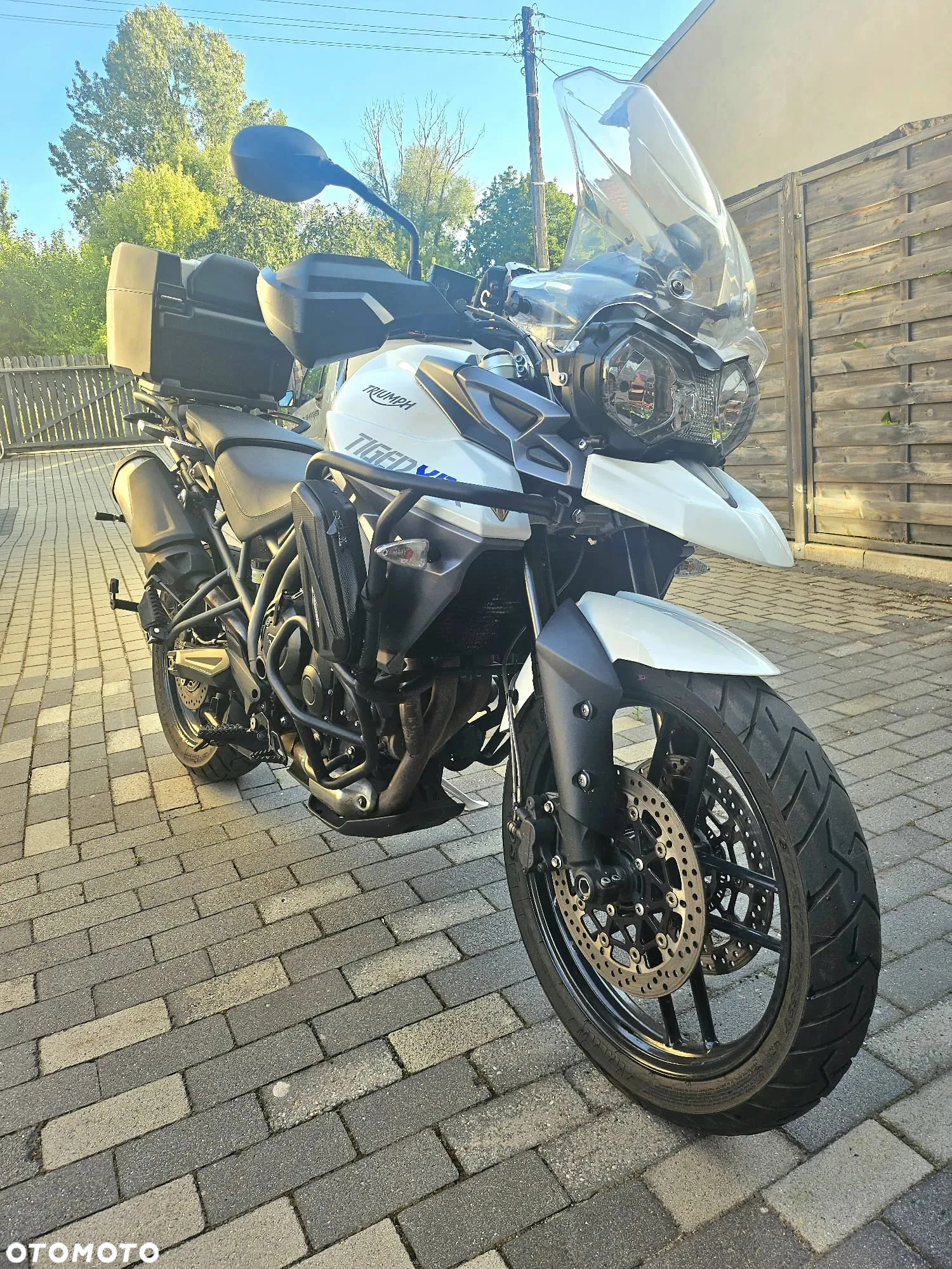 Triumph Tiger - 14