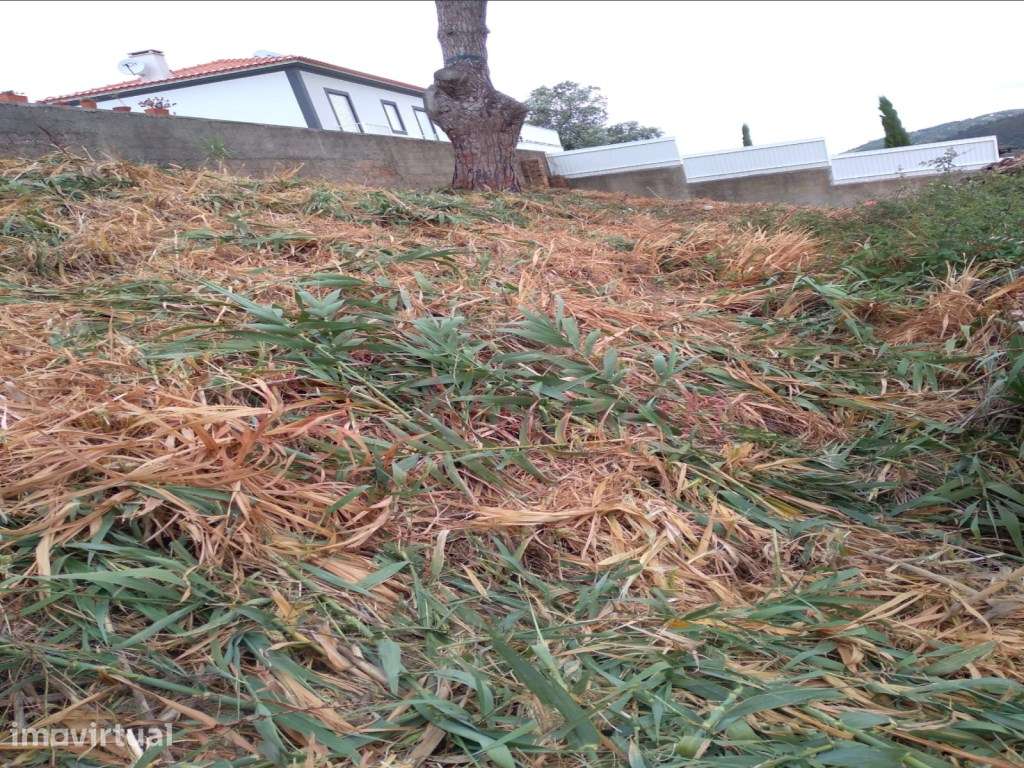 Terreno com 583m2 no Maxial - Grande imagem: 5/12
