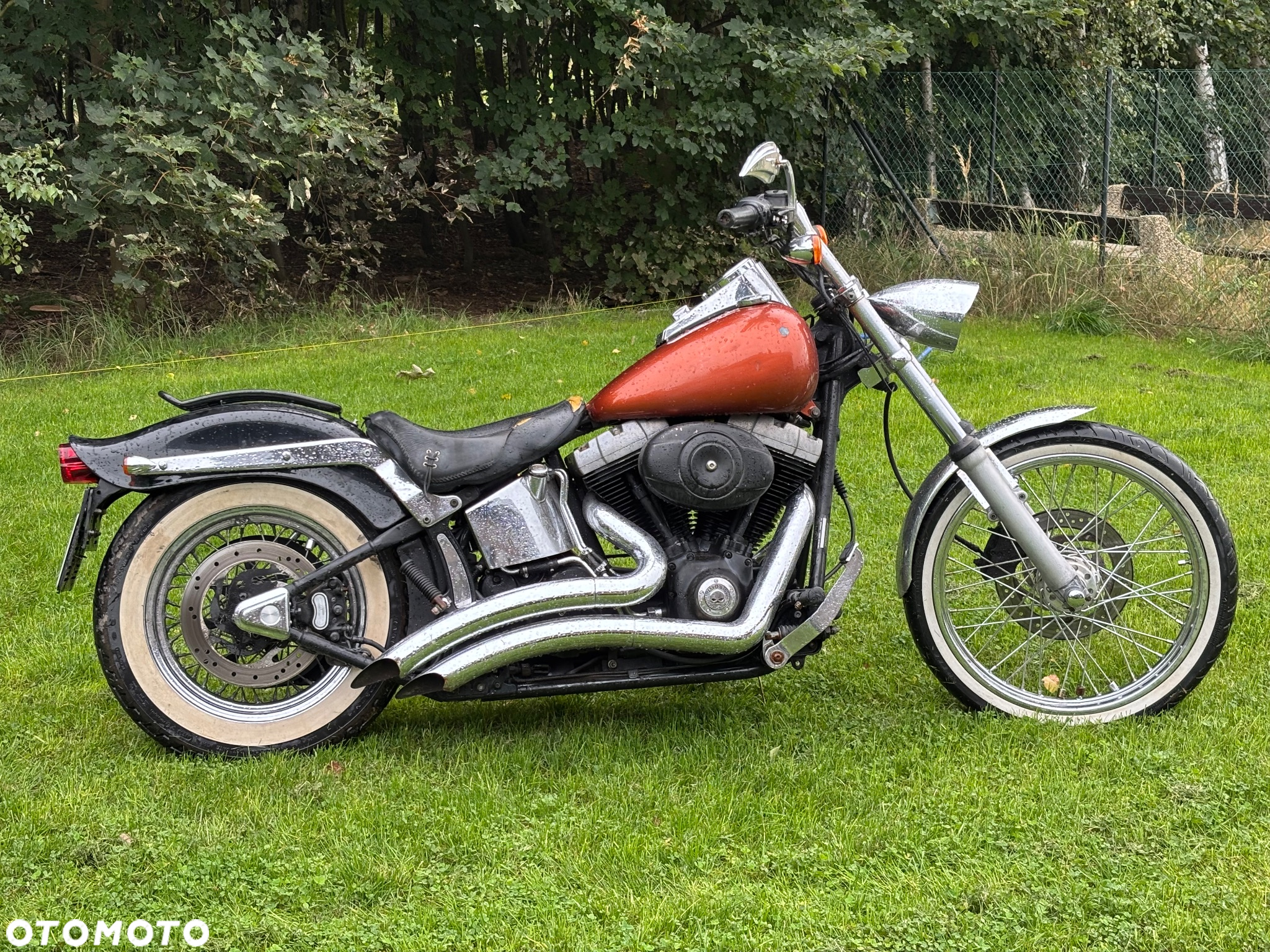 Harley-Davidson Softail Standard - 10