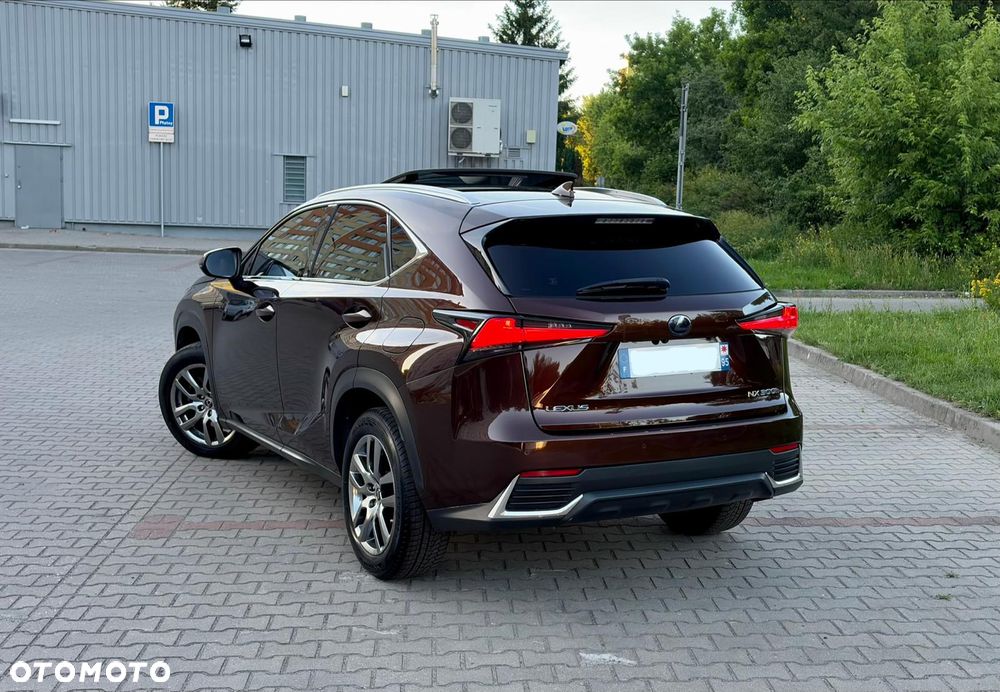 Lexus NX 300h Elite AWD - 8