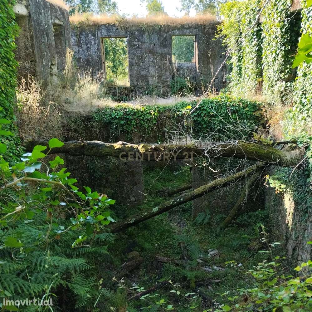 Casa em Ruínas em Anais, Ponte de Lima - Oportunidade Única - Grande imagem: 4/18