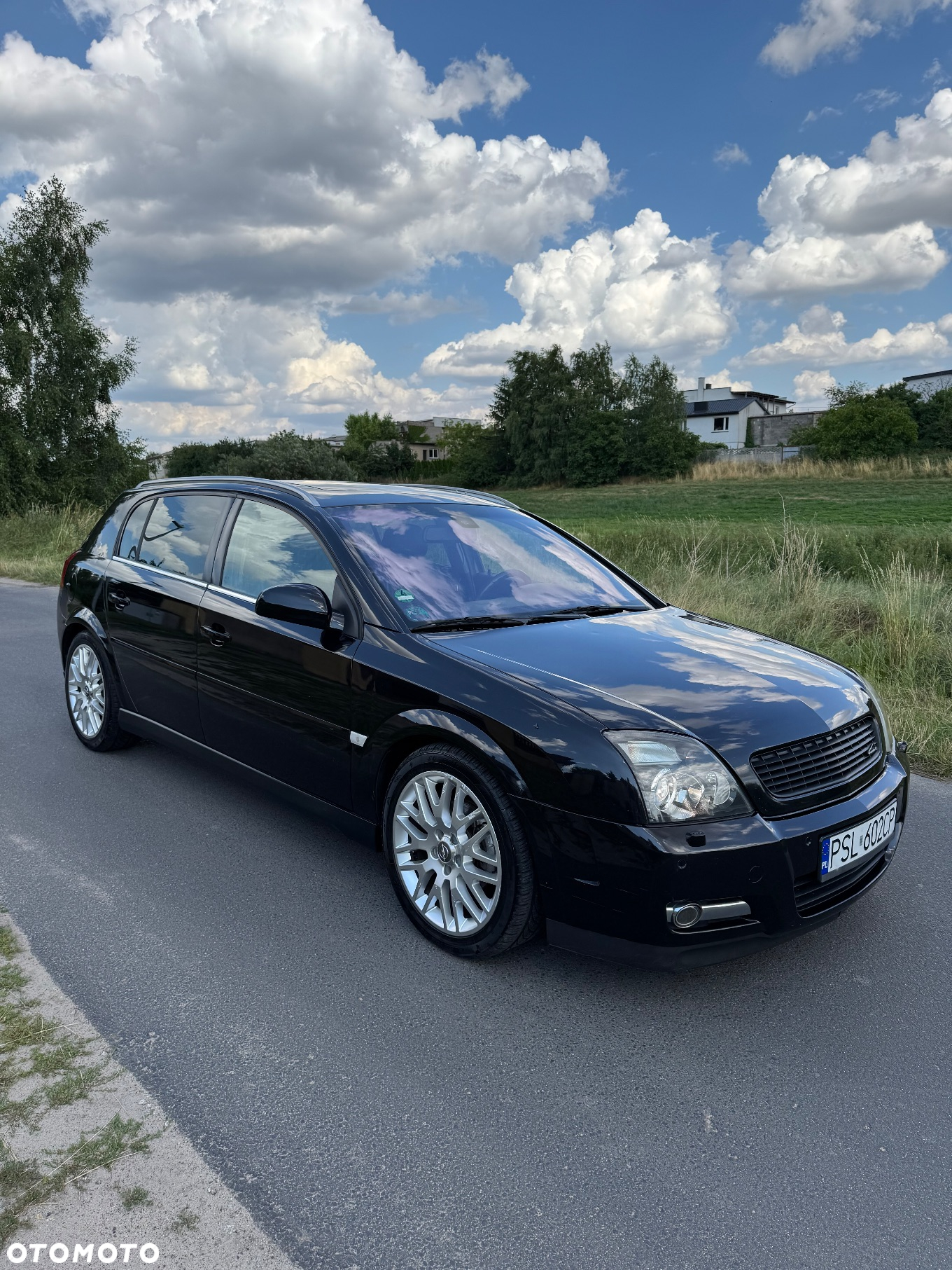 Opel Signum 1.9 CDTI Sport - 7
