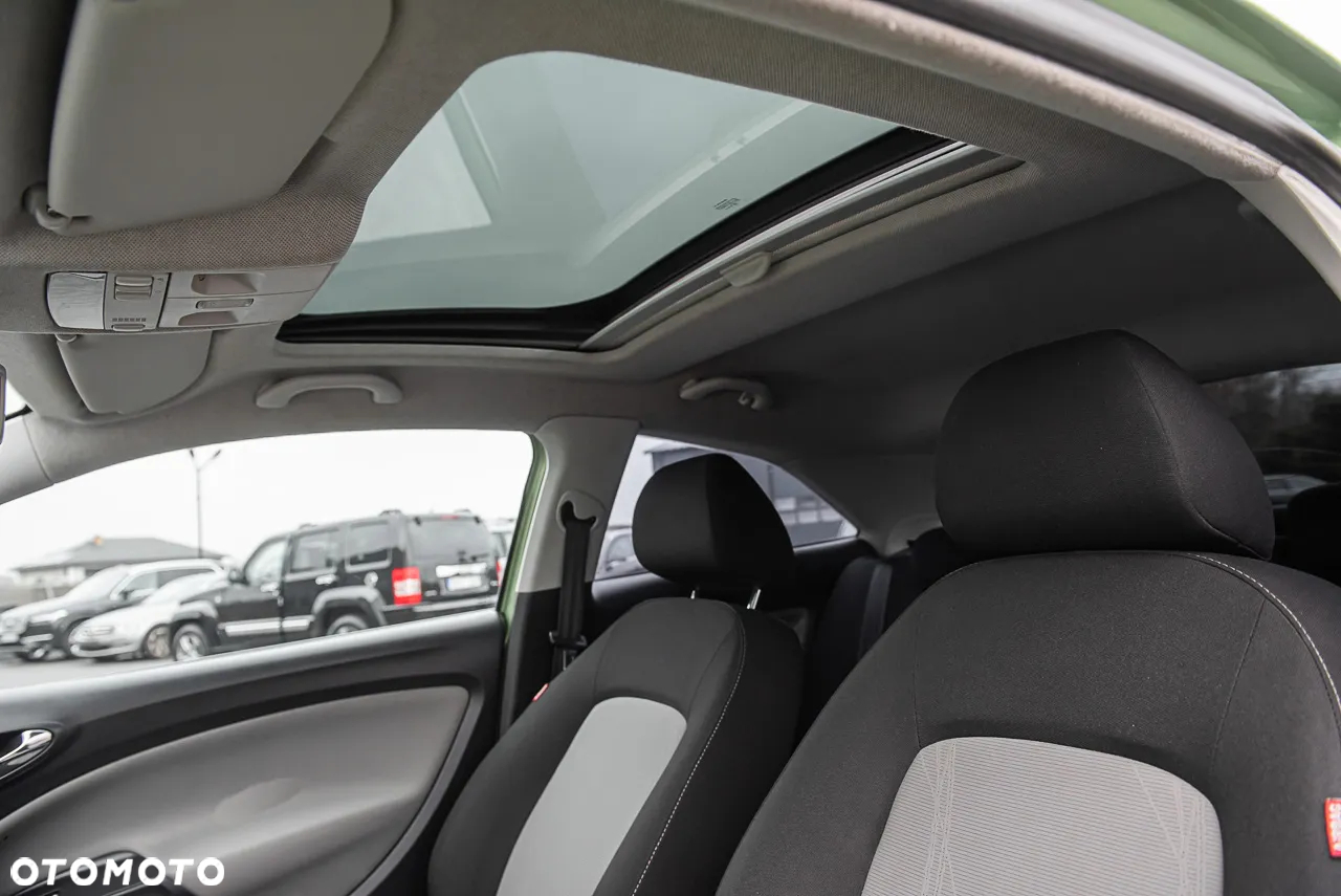 Seat Ibiza - 19
