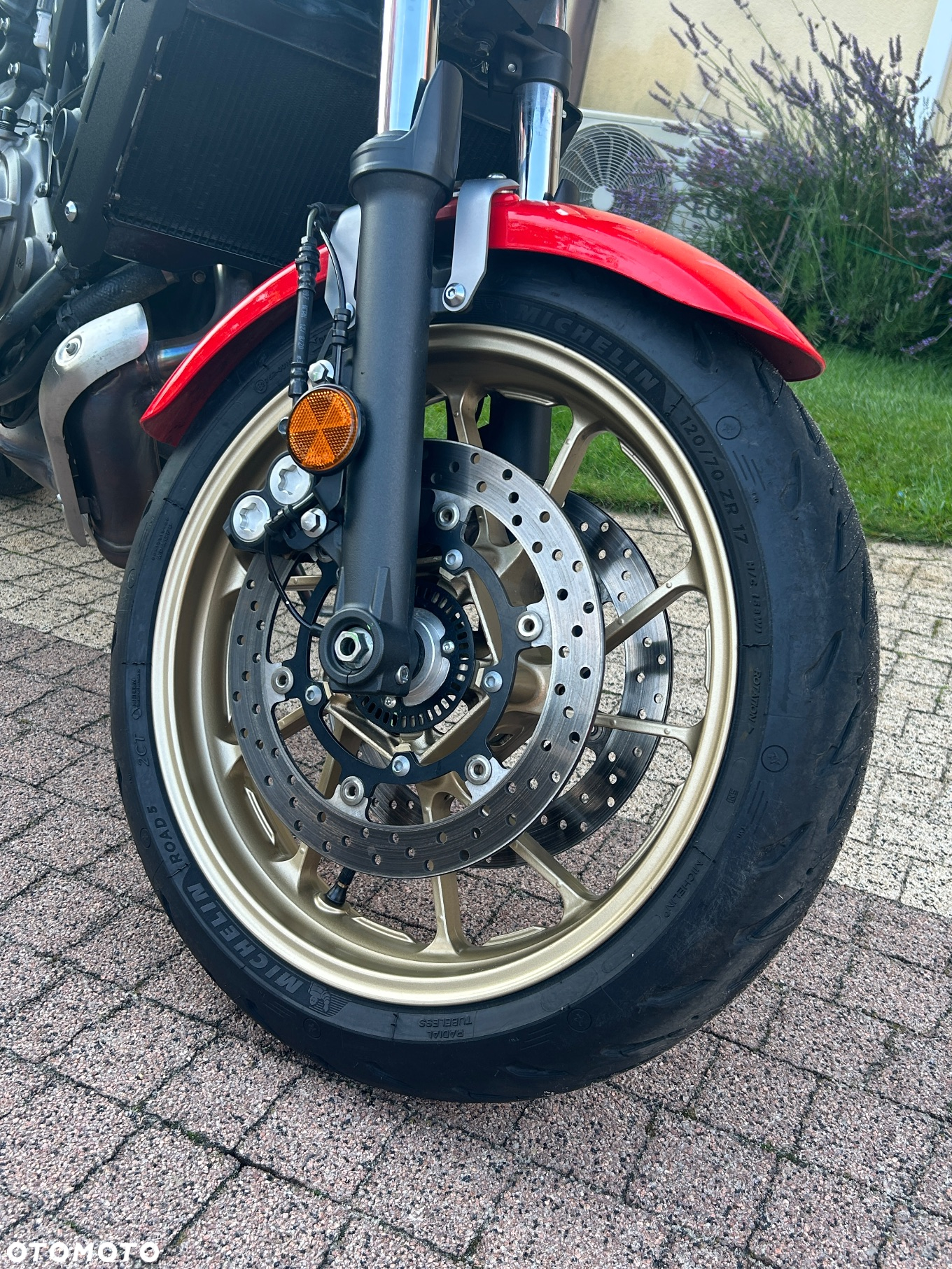 Yamaha XSR - 5