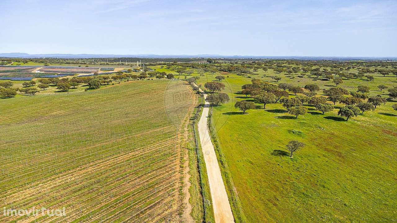 Terreno  para venda - Grande imagem: 4/50